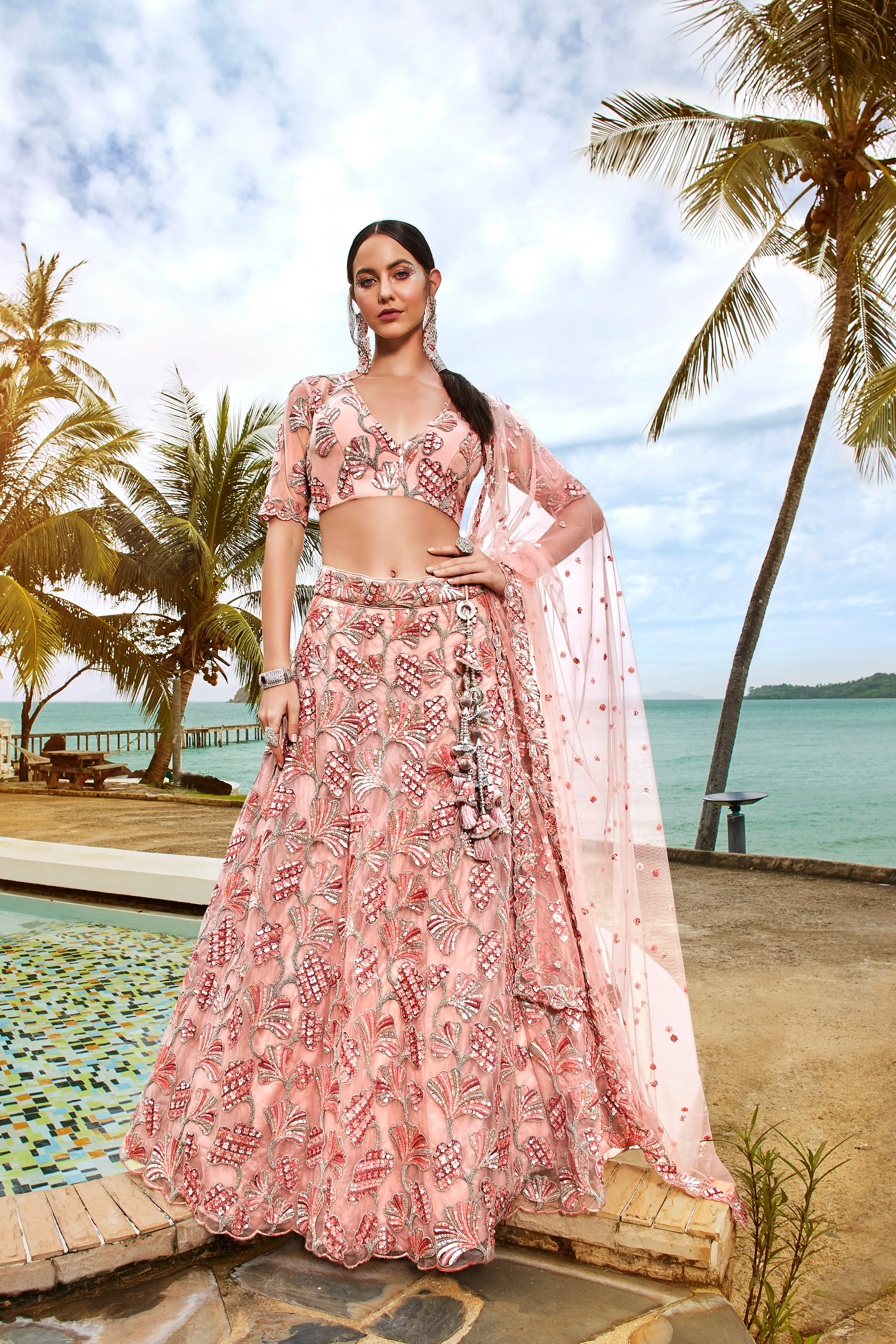 Coral Net Sequins and thread embroidery Semi-Stitched Lehenga choli & Dupatta