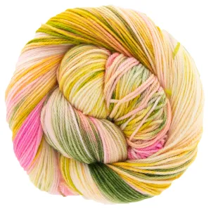 Dream in Color Smooshy Yak Yarn - Guava Nice Day