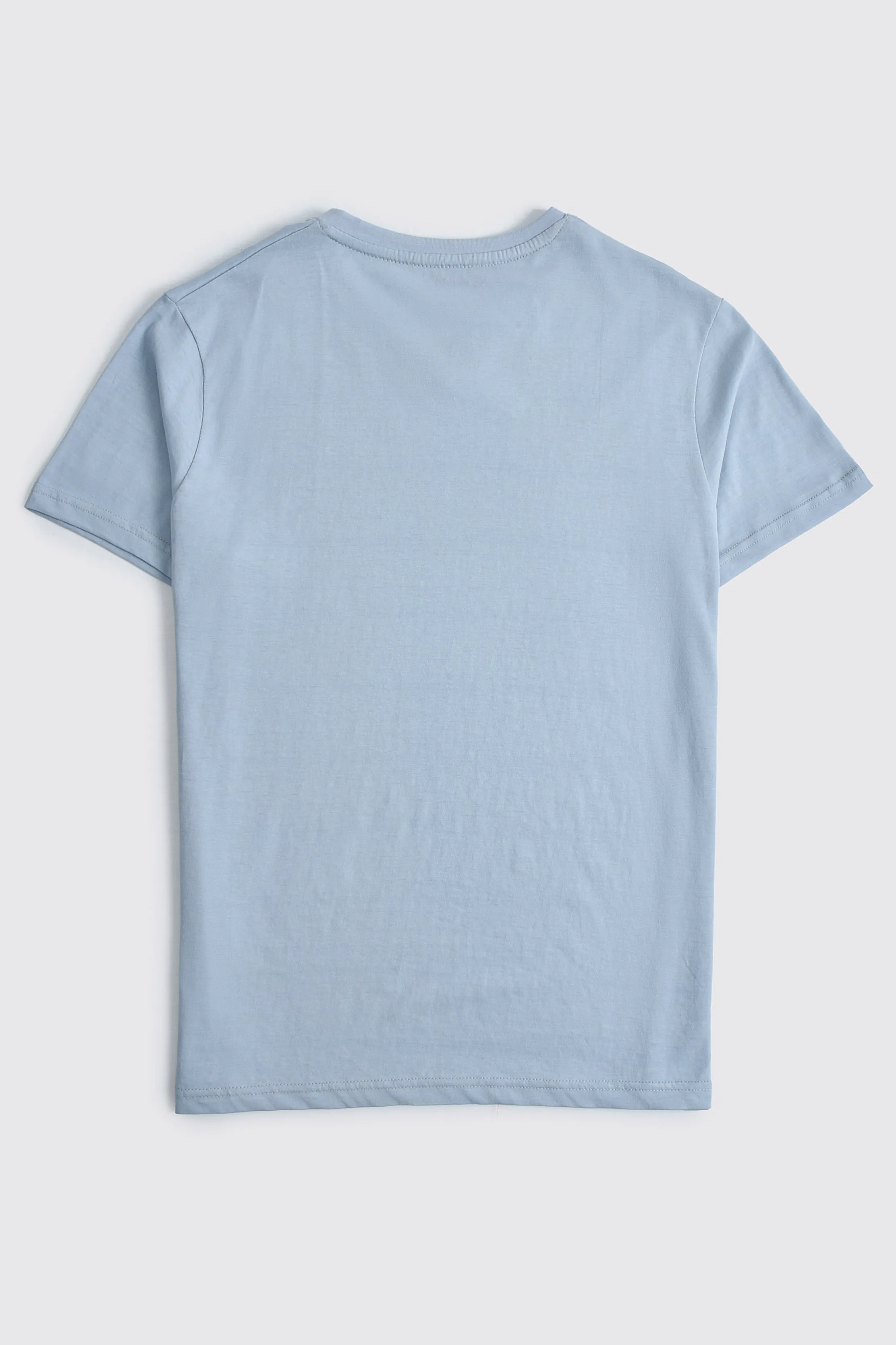 Light Gray V-Neck T-shirt