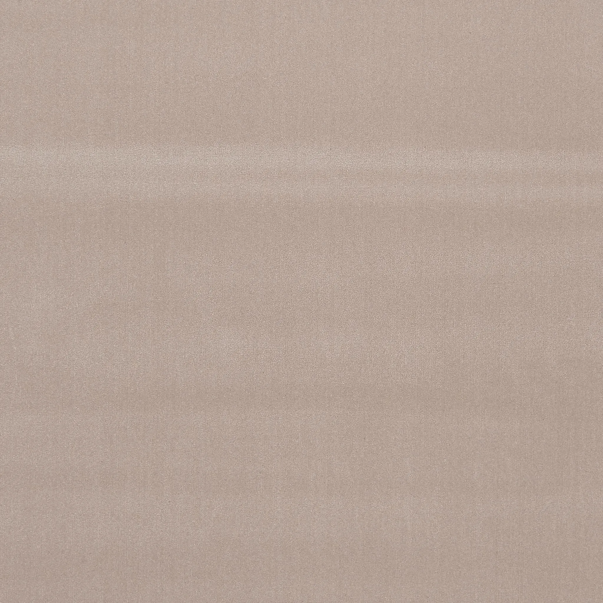 Trista Velvet Carpet, Taupe