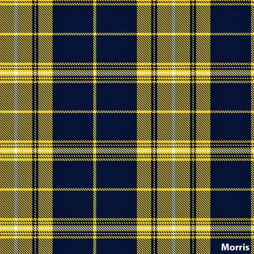 Welsh Tartan Ties